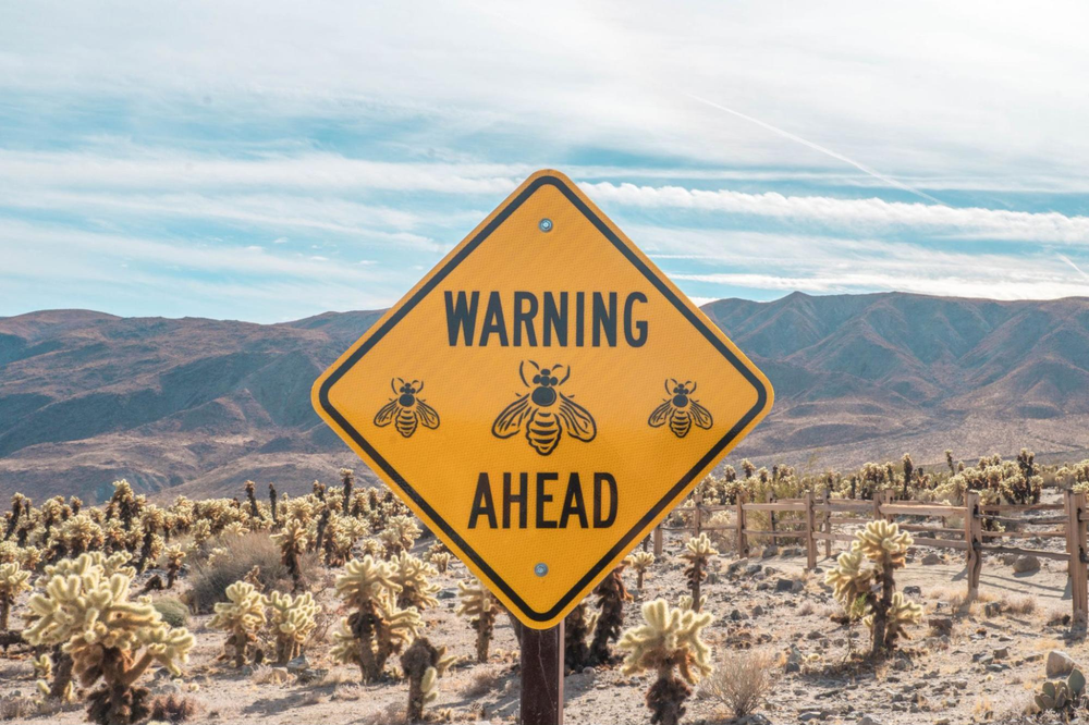 sign of warning ahead with bees